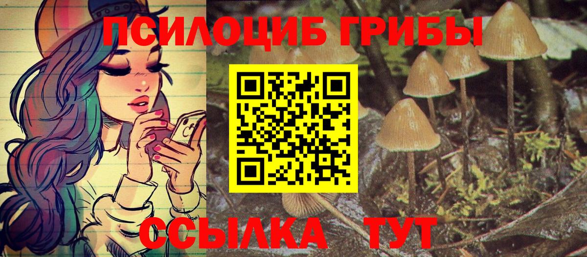Галлюциногенные грибы мухоморы  Вход с VPN  Галлюциногенные грибы Psilocybe  Лыткарино 